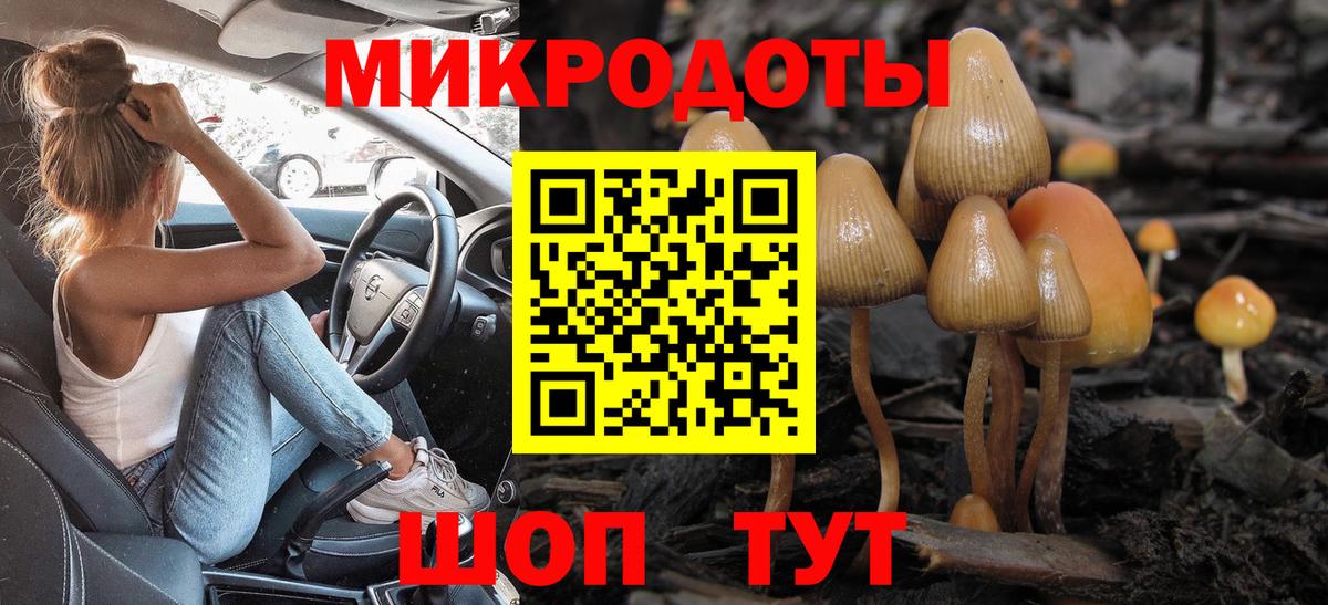 Галлюциногенные грибы Magic Shrooms Новороссийск