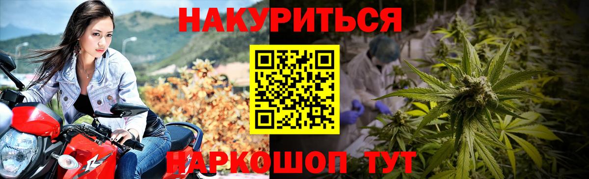 Канабис ГИДРОПОН Новороссийск